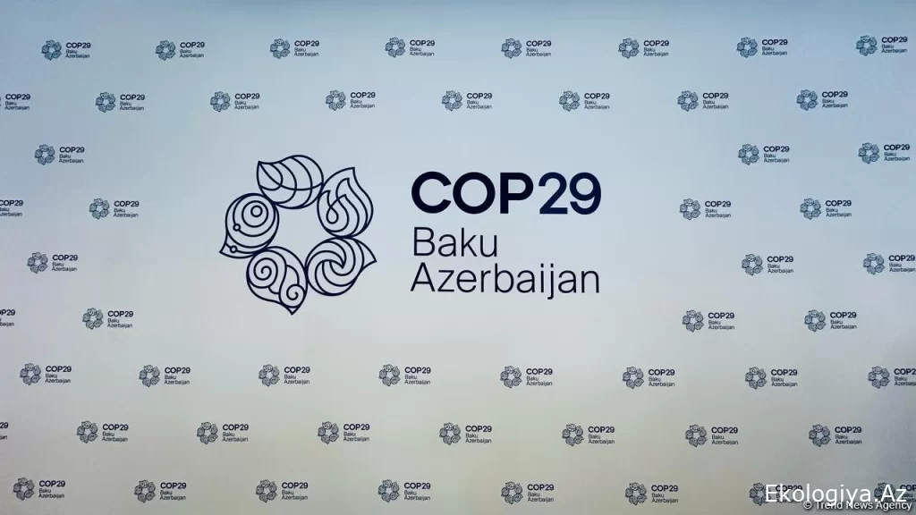 COP29 qabaqcıl ekoloji həllərin tətbiqi üçün mühüm platformaya çevriləcək - Niderlandın xüsusi nümayəndəsi