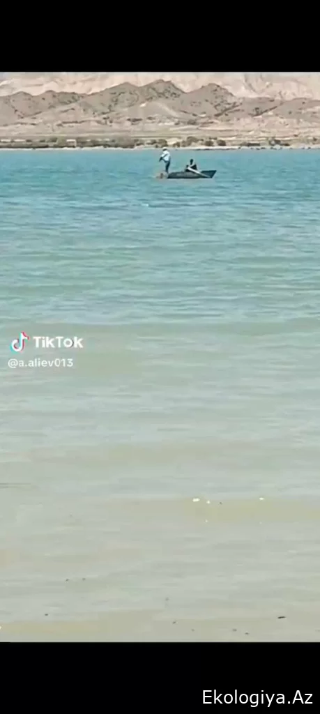 "Tik Tok" sosial platforma işbazı İFŞA OLUNDU -  Xidmət rəisinə qarşı şər şəbəkəsi və qarayaxma NƏYƏ HESABLANIB?/FOTO