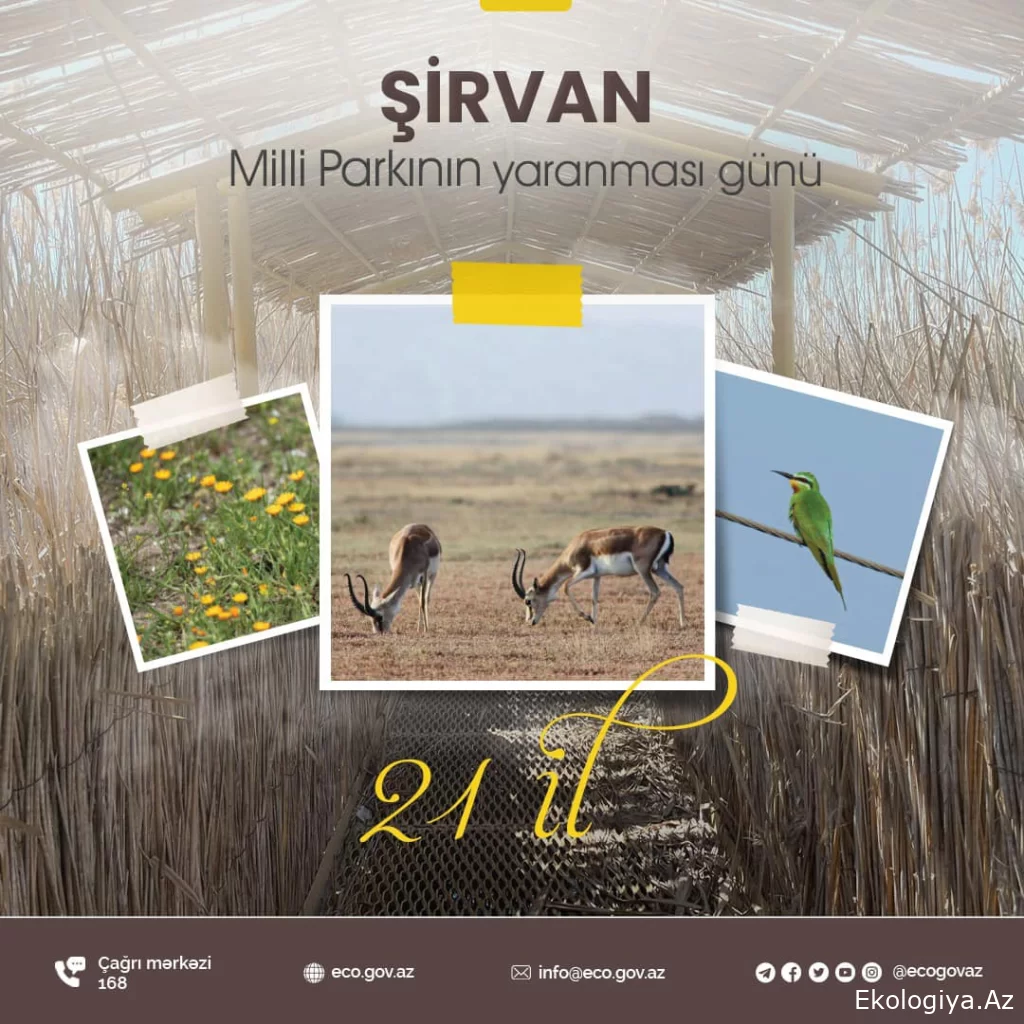 Şirvan və Ağgöl Milli Parklarının yaranmasından 21 il ötür