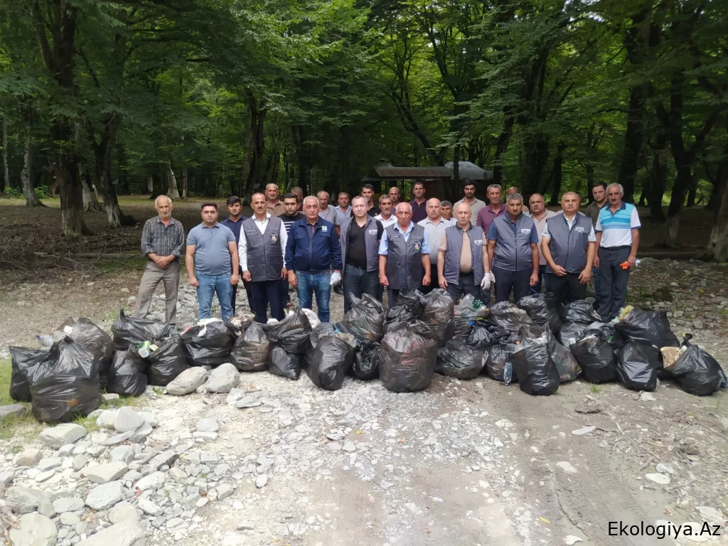 Ümumrespublika Təmizlik Marafonu çərçivəsində növbəti aksiyalar keçirilib - FOTO