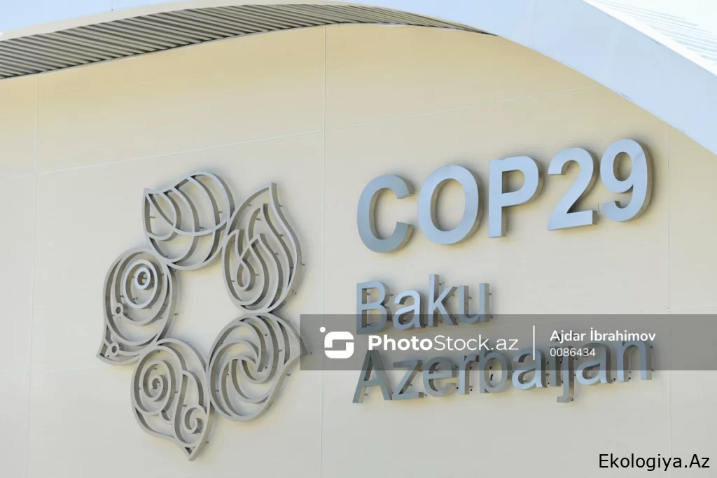 COP29 könüllüləri İçərişəhərdə "Kiçik dostlarımız üçün təkrar istifadə" şüarı ilə ekoloji aksiya təşkil edib