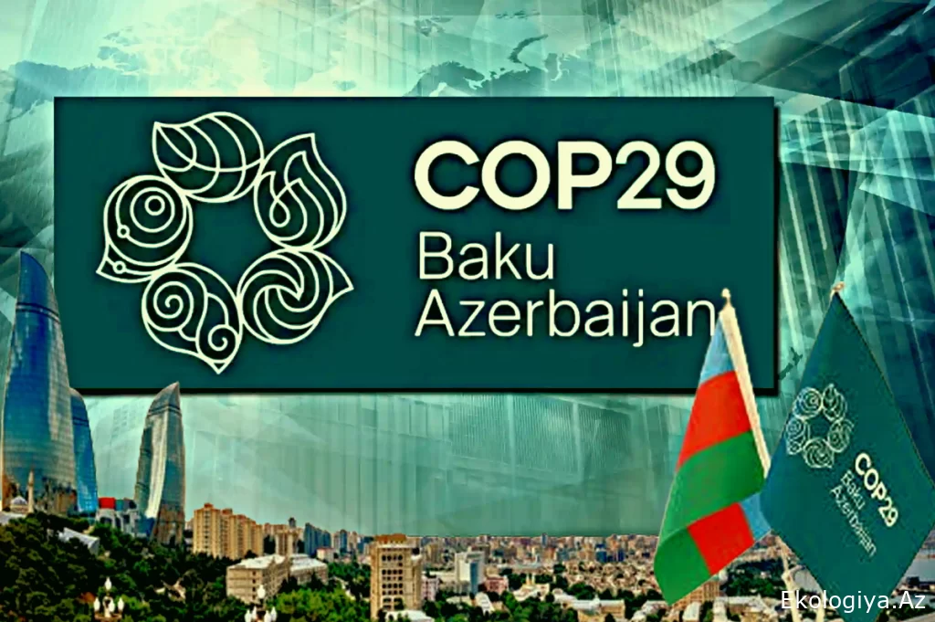 Su ehtiyatları COP29 tədbirlər proqramının mühüm hissəsidir - Damyan Krneviç Mişkoviç