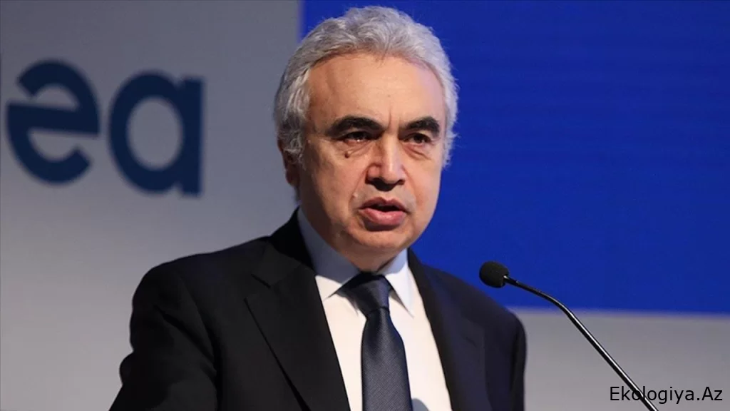BEA-nın icraçı direktoru COP29-da konkret nəticələrə nail olmaq üçün strategiyanı açıqlayıb