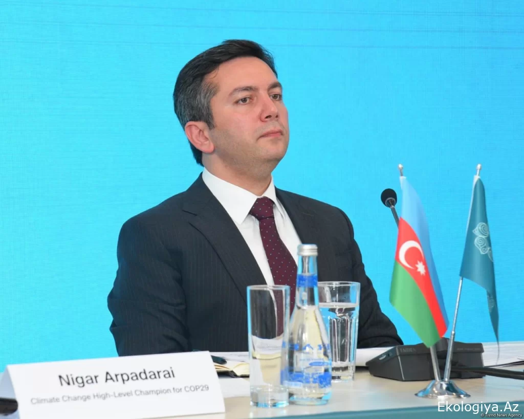 COP29-un baş danışıqçısı investisiya fəaliyyətinin əsas istiqamətlərini açıqlayıb