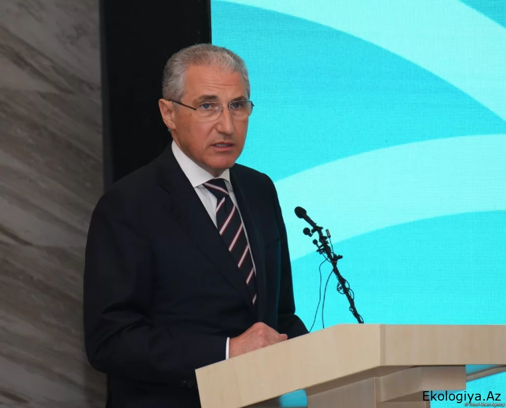 COP29 prezidenti Bakıda keçiriləcək konfransın sessiyasının mühüm məsələlərindən danışıb