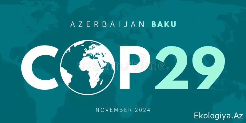 Paris sazişindən COP29-a: monitorinq və hesabatlılıq uğurun əsas elementləri kimi