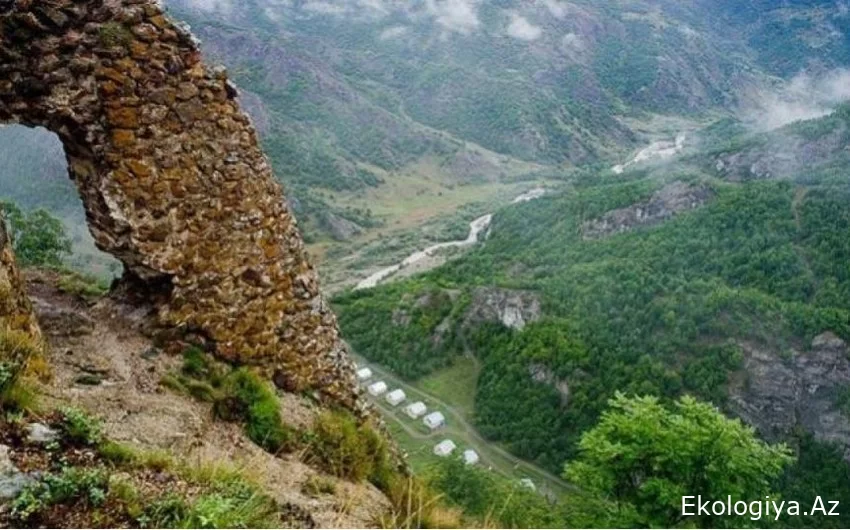 Daşaltı Dövlət Təbiət Yasaqlığının Əsasnaməsi təsdiqlənib