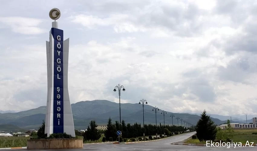 Göygöldə daha bir kütləvi ZƏHƏRLƏNMƏ