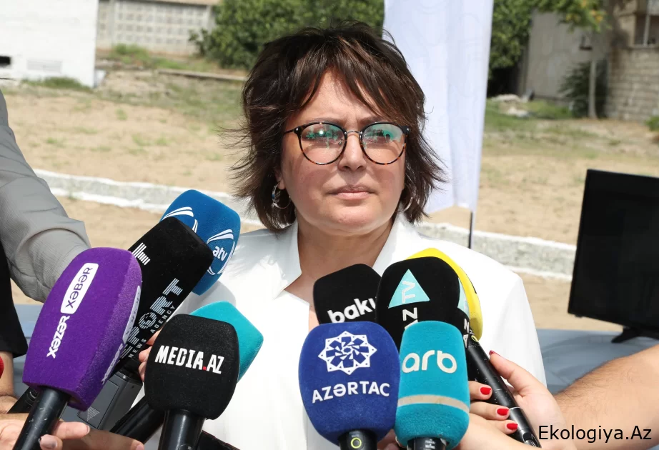 Umayra Tağıyeva: Maştağa İxtisaslaşmış Aeroloji Stansiyasında müşahidələrin bərpa olunması böyük əhəmiyyətə malikdir