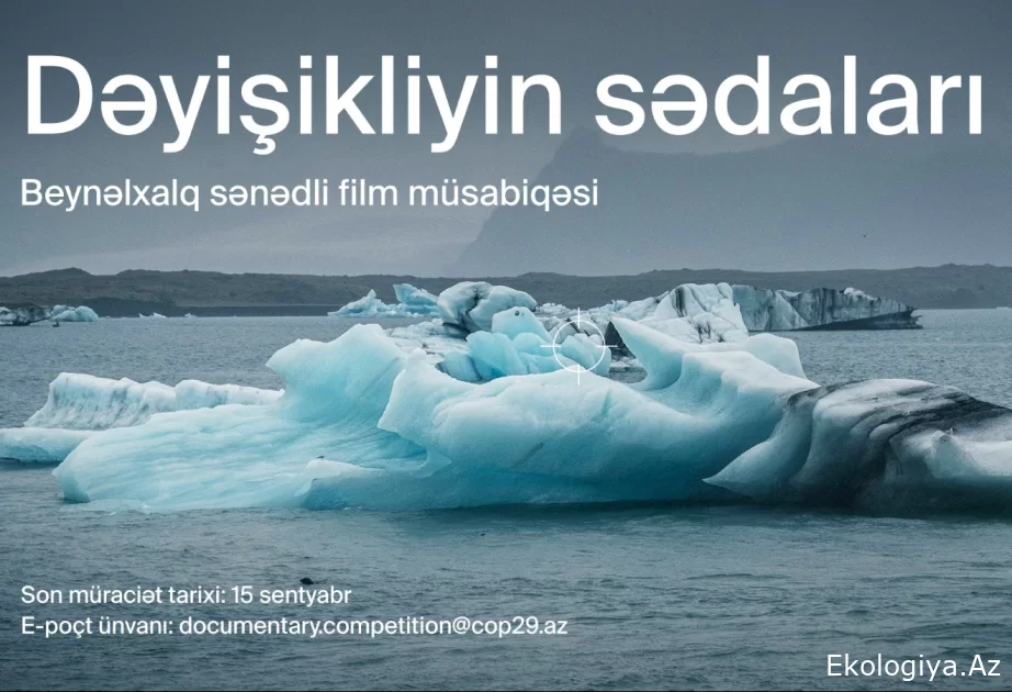 COP29 Azərbaycan Əməliyyat Şirkəti beynəlxalq sənədli film müsabiqəsi elan edir