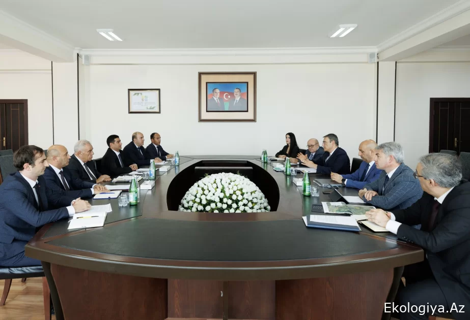 Naxçıvanda yaxın gələcəkdə mədən layihələri istismara veriləcək
