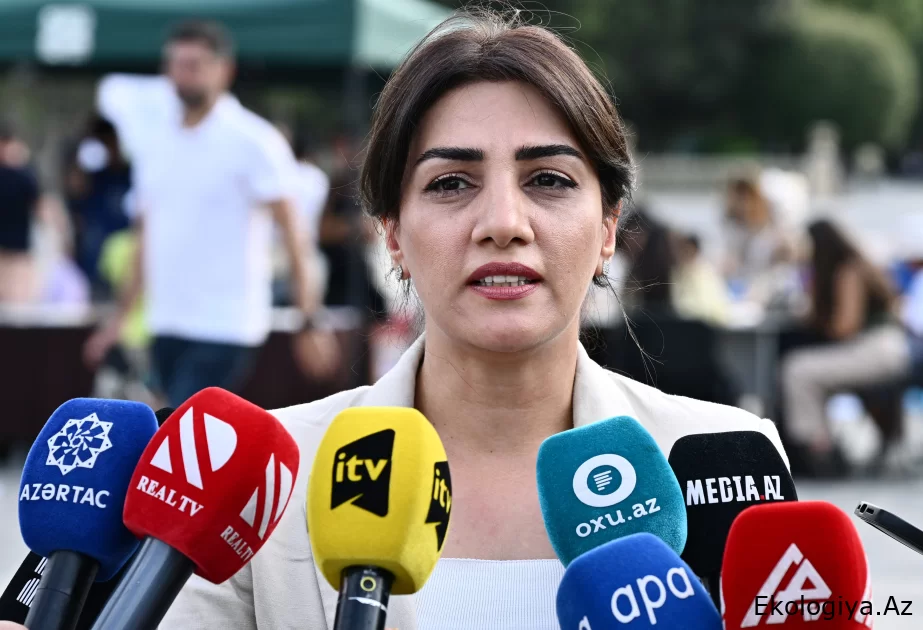 Gülnarə Abbasova: Xəzərdə ən böyük dalğalar cənub küləyi zamanı müşahidə edilir