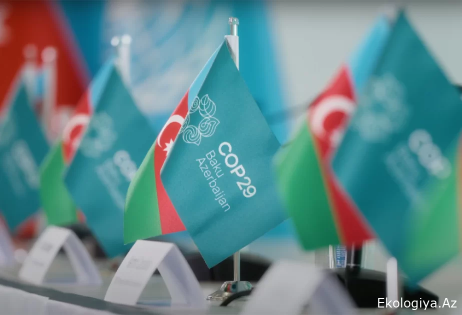 COP29 Azərbaycanı beynəlxalq miqyasda ən yüksək liqaya çıxarır – TƏHLİL