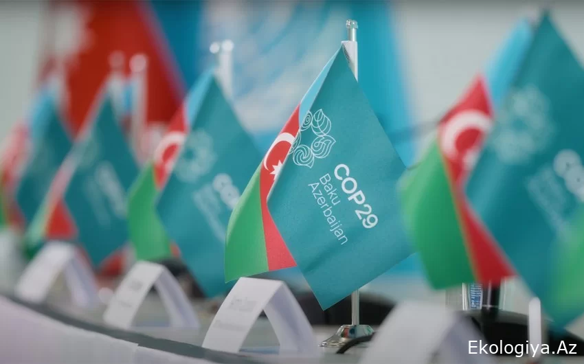 COP29 qlobal səviyyədə istixana qaz emissiyalarının balansını təmin edəcək – ANALİZ