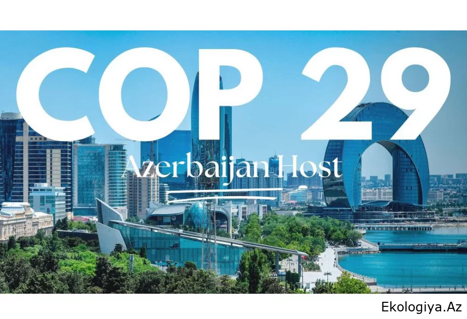 COP29: Bakı iqlim dəyişikliyi ilə mübarizədə dünyanı həmrəyliyə səsləyəcək