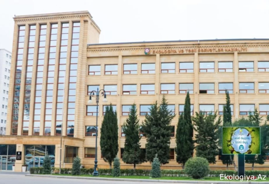 Bəhruz Məmmədov: Kəlbəcər rayonunda dağ keçilərinin vurulması ilə bağlı yayılan görüntülər araşdırılır