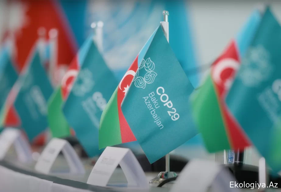 COP29: Təbiətlə harmoniya yaratmaq üçün fürsət