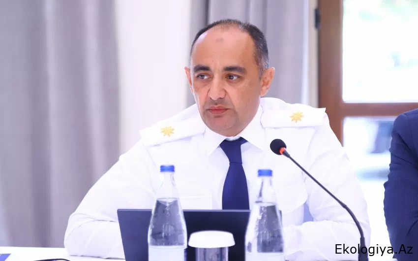 İdarə rəisi: Qanunsuz ağackəsmə faktları ilə bağlı 850 min manata yaxın ziyan ödətdirilib
