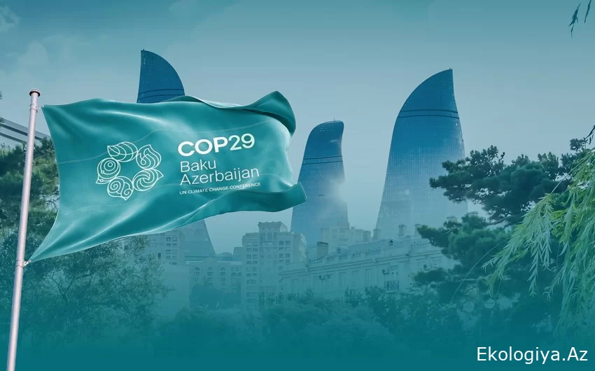 COP29 Azərbaycana qlobal mediaya atılmağa böyük şans yaradacaq - RƏY