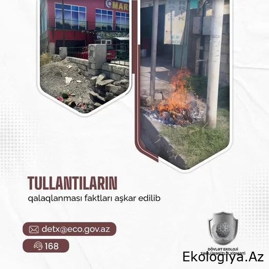 Bu şəxslər barəsində protokol tərtib olunub və qanunamüvafiq tədbir görülüb