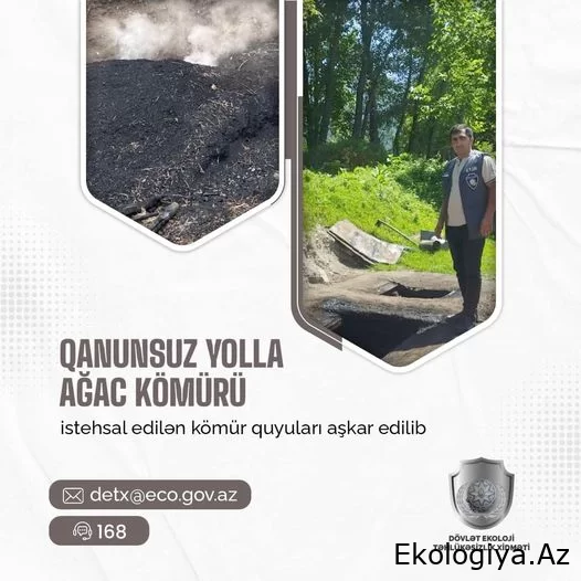 Qanunsuz yolla ağac kömürü istehsal edilən kömür quyuları aşkarlandı