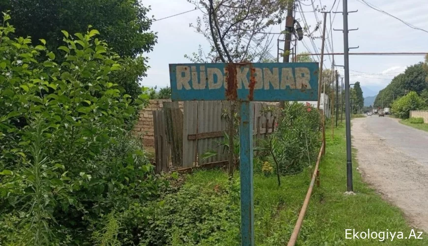 Azərbaycanda naməlum vəhşi heyvan kənd sakinlərini QORXUYA SALDI - FOTO