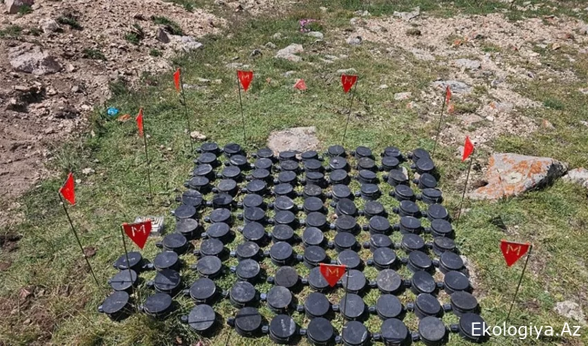 Laçın rayonu ərazisində kütləvi şəkildə piyada əleyhinə mina aşkar edilib (FOTO/VİDEO)