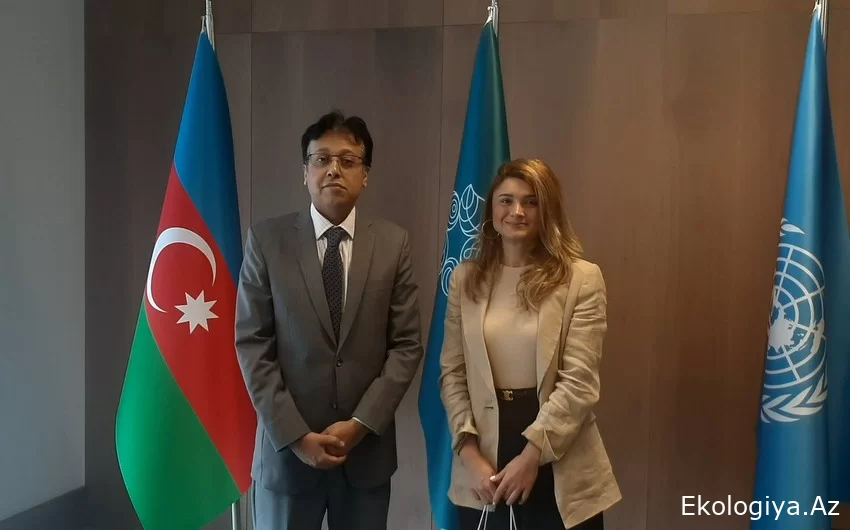 Pakistanın yeni səfiri COP29 Azərbaycan Əməliyyat Şirkətinin sədri ilə görüşüb