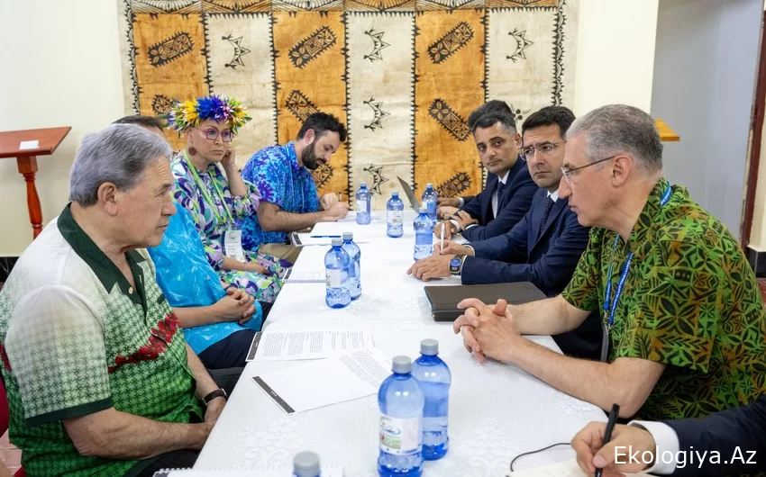 Muxtar Babayev Yeni Zelandiya Baş nazirinin müavini ilə görüşüb