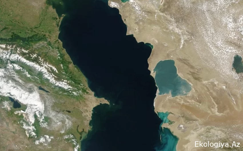 Alim-okeanoloq: Xəzər dənizinin səviyyəsinin daha da aşağı düşməsi balıqçılıq üçün fəlakət deməkdir