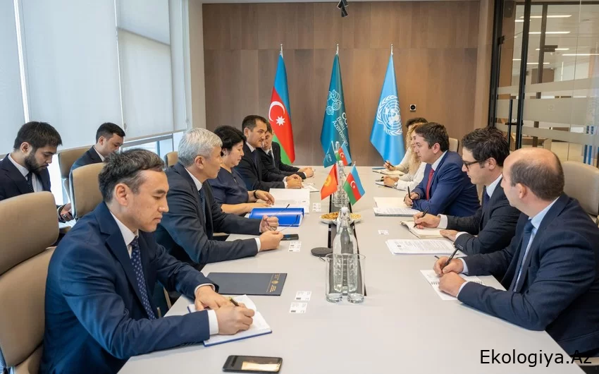 COP29-un baş danışıqçısı Qırğızıstanın nümayəndə heyəti ilə iqlim dəyişikliyinin təsirlərini müzakirə edib
