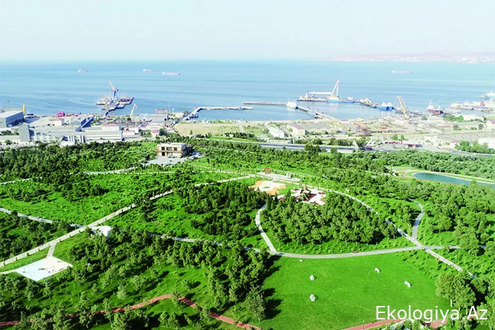 COP29 Xəzər dənizində yaşanan ekoloji problemlərin həlli üçün əsas platforma olacaq