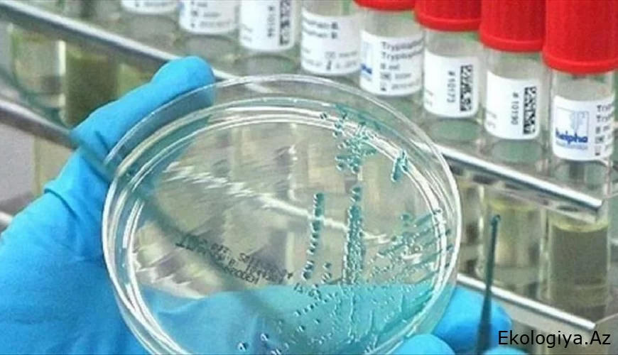 Bu virus dünyada sürətlə yayılır: artıq 13 ölkə...