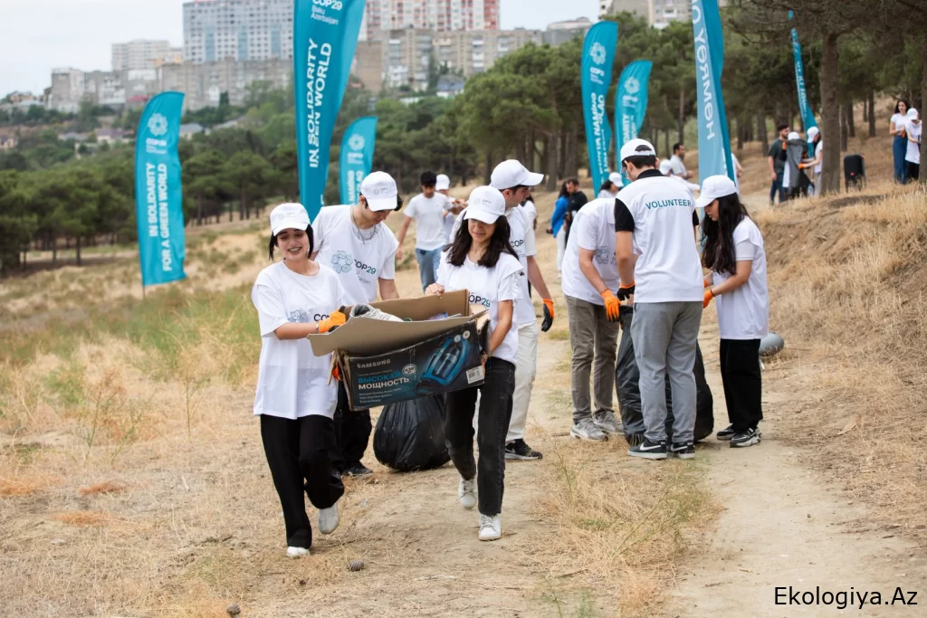 COP29 Könüllüləri “Təkrar emal fəalları” adlı təmizlik aksiyası keçiriblər (FOTO)