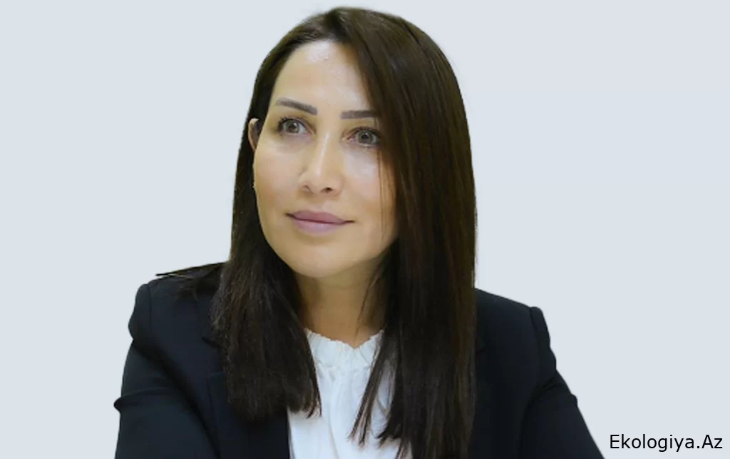 ”Cəmiyyət də haqlı olaraq onları qınayır, pisləyir"