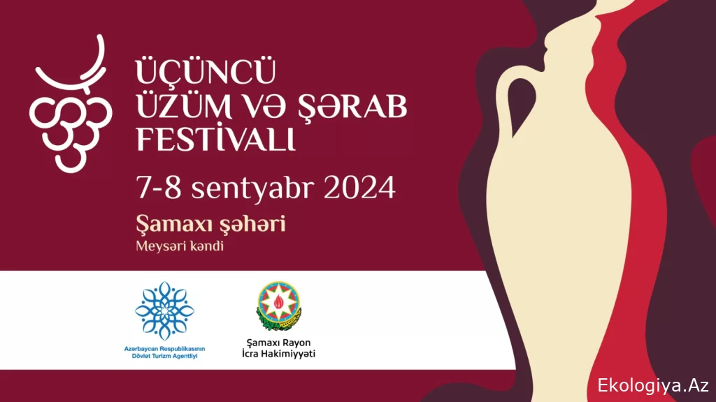 Şamaxı növbəti Üzüm və Şərab Festivalına hazırlaşır
