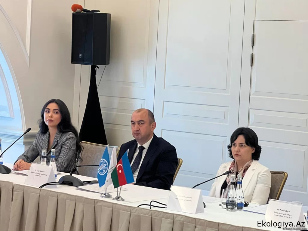 COP29-un Azərbaycanda keçirilməsi qərarı ölkəmizin yaşıl gələcək ilə bağlı hədəflərinin məntiqi davamıdır - Nazir müavini