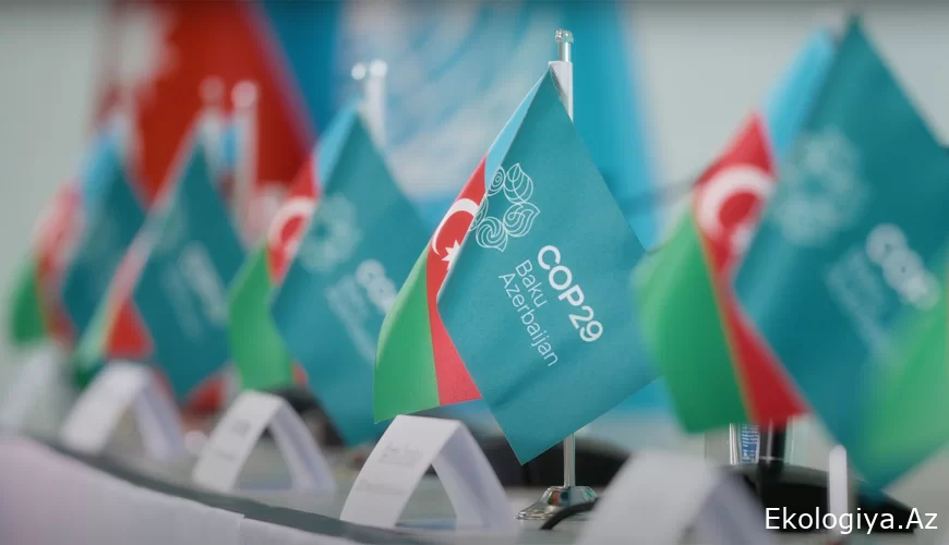 Paşinyan Bakıya gəlir xəbərinin əks-sədası-COP29-a qatılacaq?