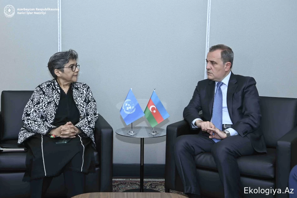 Ceyhun Bayramov BMT-nin ali nümayəndəsi ilə COP29-a hazırlıq prosesini müzakirə edib