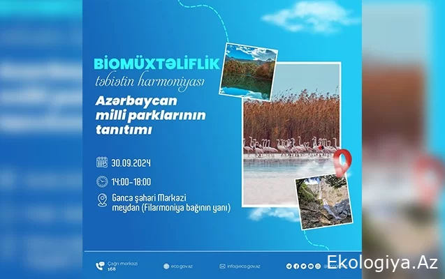 “Azərbaycanın milli parklarının tanıtımı” - Bu dəfə Gəncədə