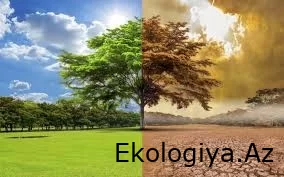 İqlim dəyişikliyi Afrikanı belə məhv edir - HESABAT