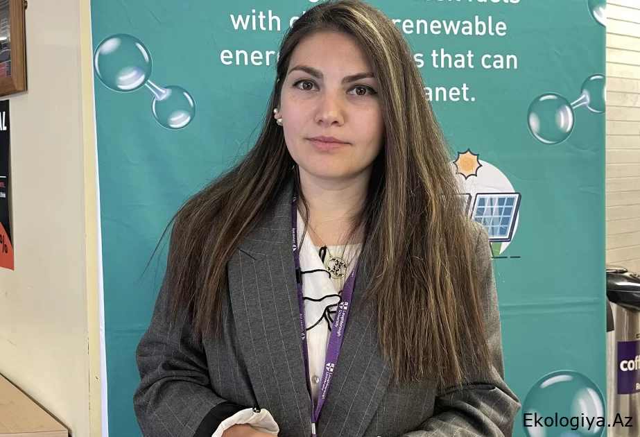 Müşavir: Britaniyada COP29-a böyük maraq müşahidə edilir