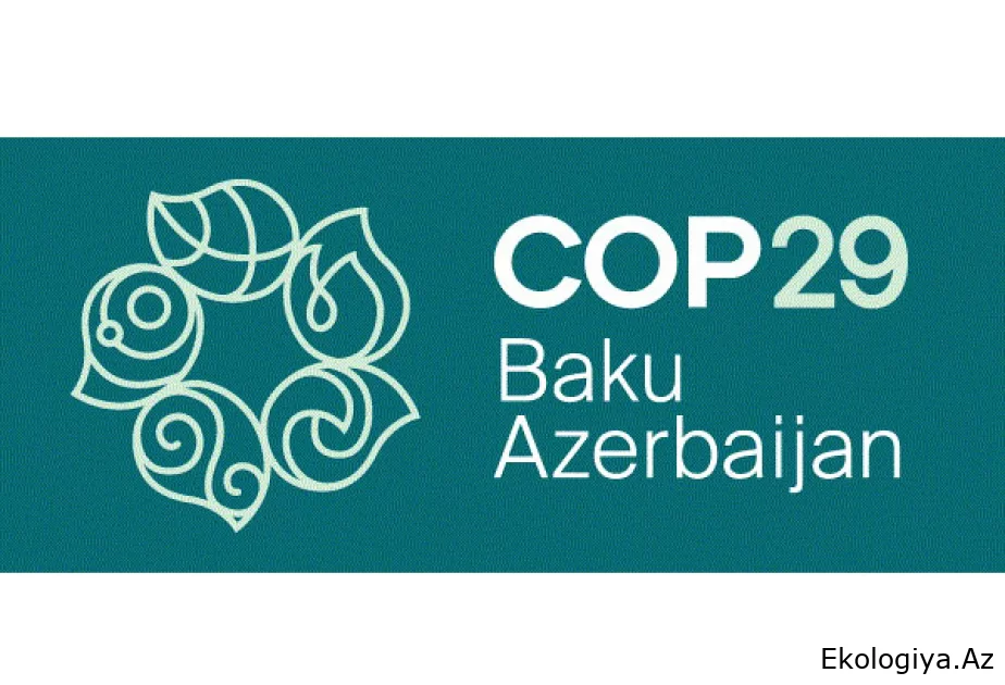 COP29 könüllüləri Xəzər dənizinin Lənkəran sahilində təmizlik aksiyasında iştirak ediblər