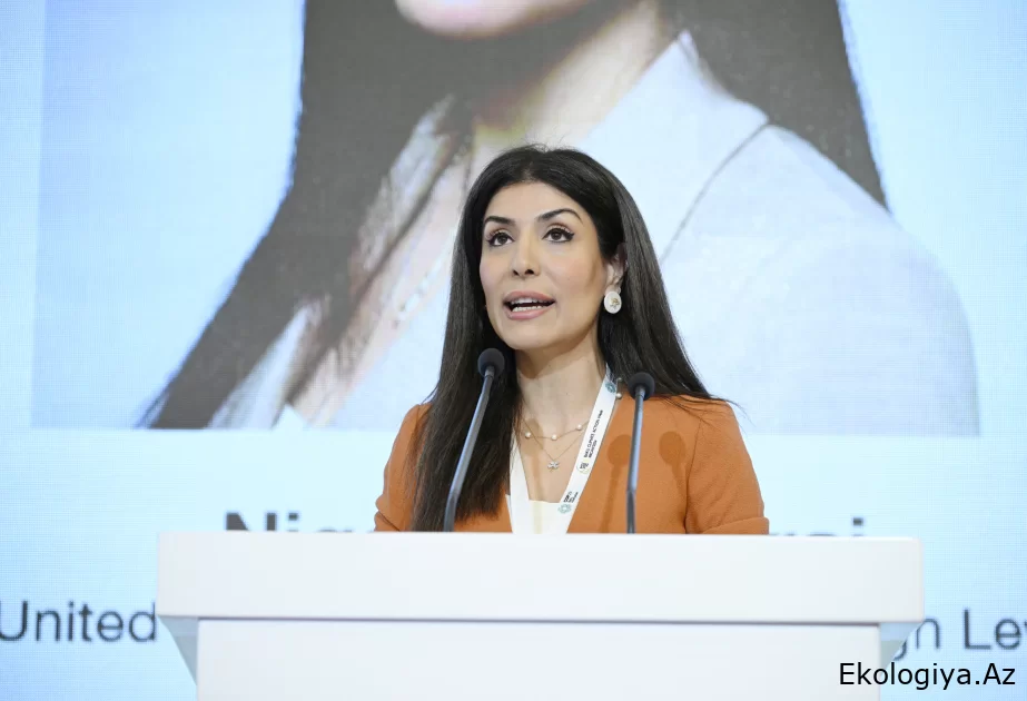 Nigar Arpadarai: İqlim məsələlərinin öhdəsindən təkbaşına gələ bilmərik