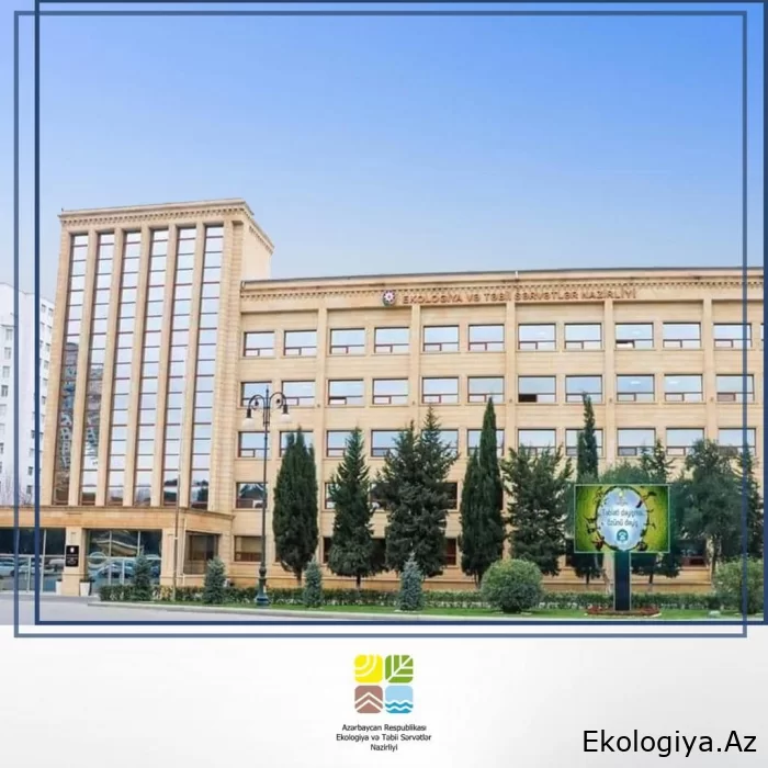 Bəhruz Məmmədov: Kəlbəcər rayonunda dağ keçilərinin vurulması ilə bağlı yayılan görüntülər araşdırılır