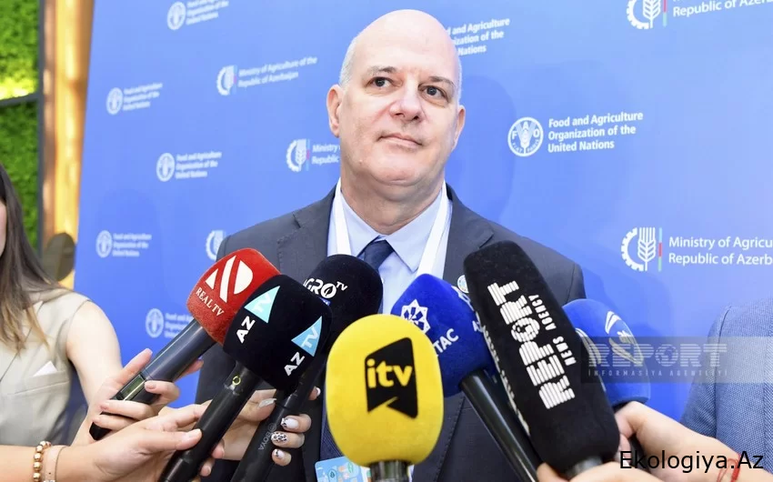FAO-nun İtaliya ofisinin rəsmisi: "COP29 müxtəlif tərəfləri birləşdirəcək"