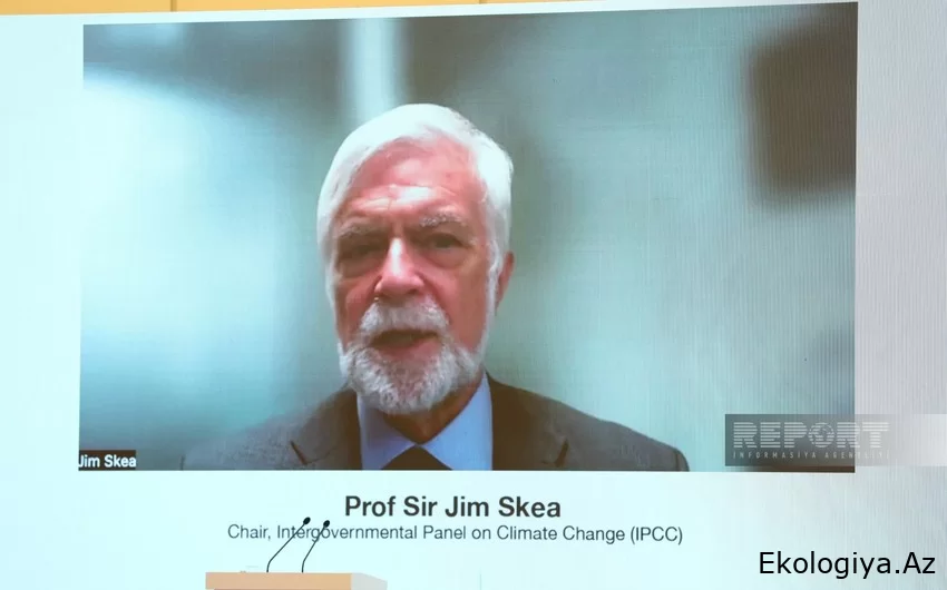 IPCC sədri: İqlimlə bağlı tədbirlərin aktuallığı aydındır - COP29 həmişəkindən daha vacibdir