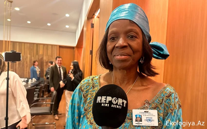 Afrikalı nazir: Azərbaycanın COP29 Sədrliyindən gözləntilərimiz böyükdür