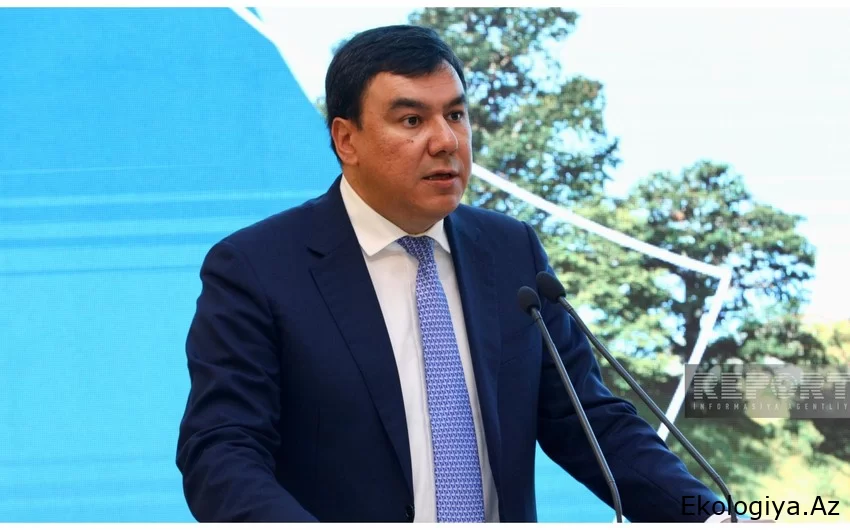 Özbəkistanın ekologiya naziri: COP29-un Azərbaycanda keçirilməsi Mərkəzi Asiya üçün də vacibdir