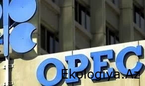 2050-ci ilədək neft-qazın qlobal enerji balansındakı payı cüzi azalacaq - OPEK